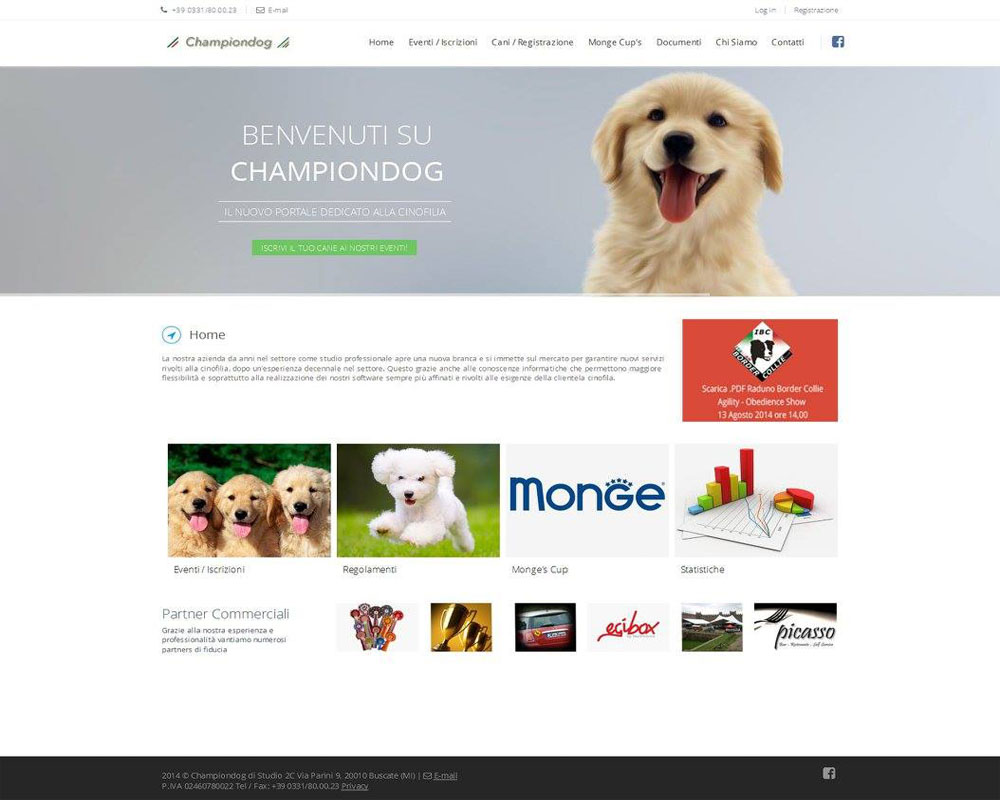 champion dog